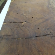 04_Tras la aplicación de las colas naturales y su asentamiento