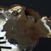 06_Detalle de pérdidas de esmalte